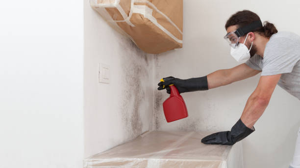 Professional Mold Remediation technician working in North Andover, MA