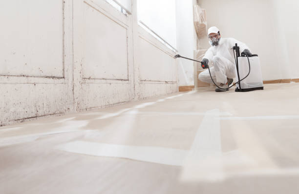 24/7 Emergency Mold Remediation experts in North Andover, MA